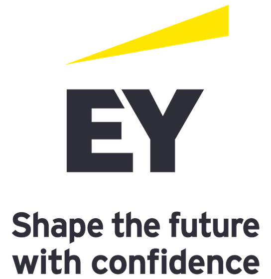 ERNST & YOUNG